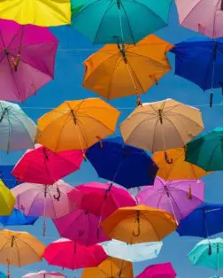 is it the law to have business insurance