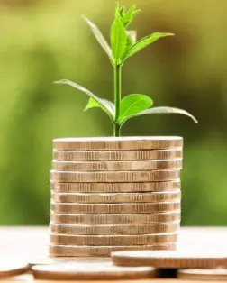 Piles of money - no claims discount